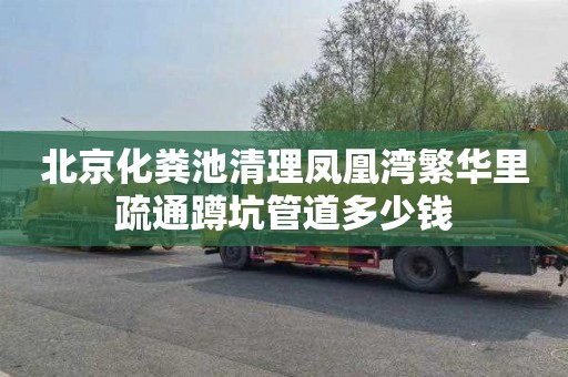 北京化粪池清理凤凰湾繁华里疏通蹲坑管道多少钱