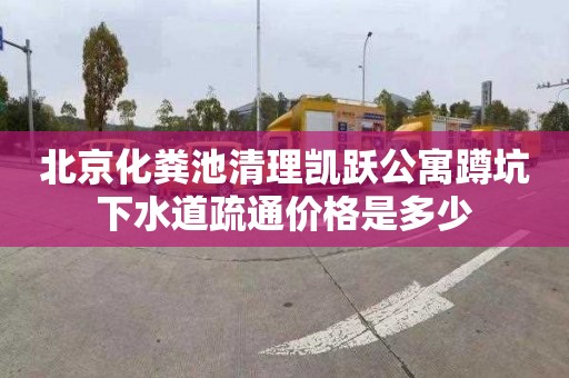 北京化粪池清理凯跃公寓蹲坑下水道疏通价格是多少