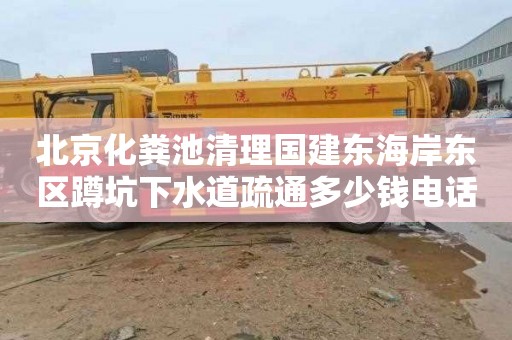 北京化粪池清理国建东海岸东区蹲坑下水道疏通多少钱电话