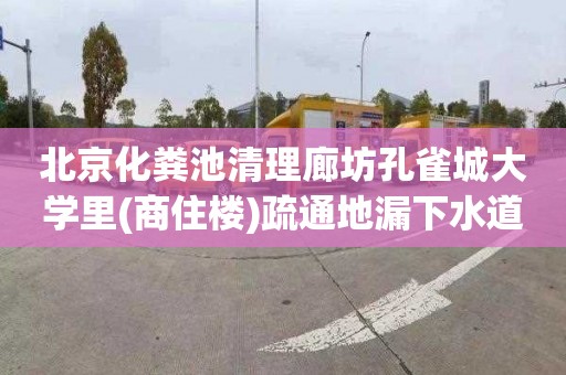 北京化粪池清理廊坊孔雀城大学里(商住楼)疏通地漏下水道一般多少钱