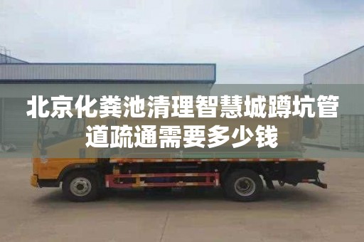 北京化粪池清理智慧城蹲坑管道疏通需要多少钱