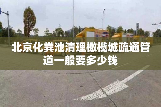 北京化粪池清理橄榄城疏通管道一般要多少钱