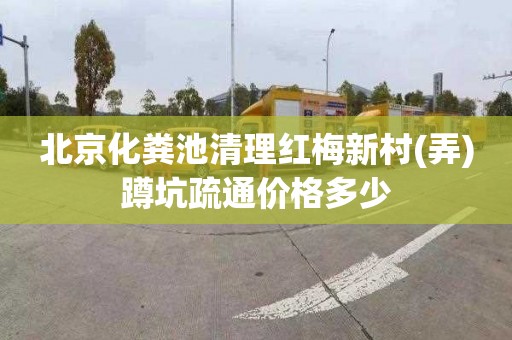 北京化粪池清理红梅新村(弄)蹲坑疏通价格多少