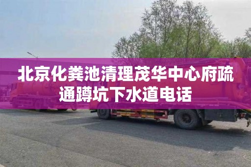 北京化粪池清理茂华中心府疏通蹲坑下水道电话