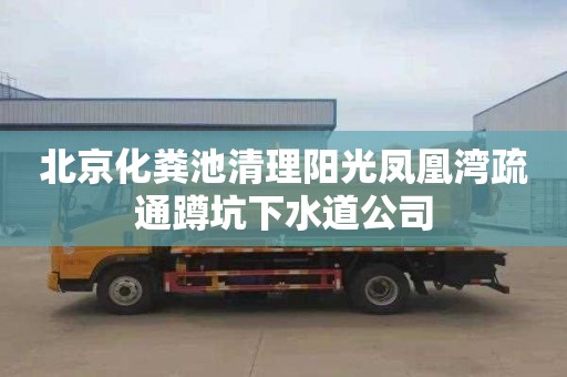 北京化粪池清理阳光凤凰湾疏通蹲坑下水道公司