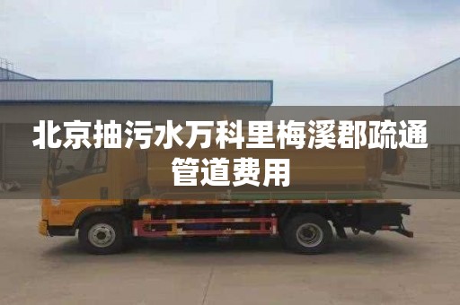 北京抽污水万科里梅溪郡疏通管道费用