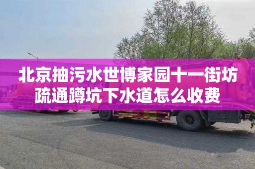 北京抽污水世博家园十一街坊疏通蹲坑下水道怎么收费