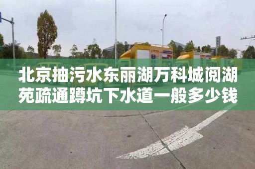 北京抽污水东丽湖万科城阅湖苑疏通蹲坑下水道一般多少钱