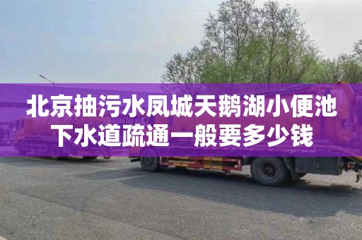 北京抽污水凤城天鹅湖小便池下水道疏通一般要多少钱