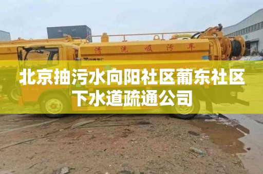 北京抽污水向阳社区葡东社区下水道疏通公司