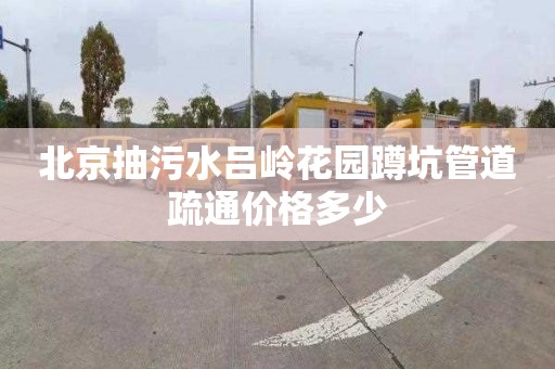 北京抽污水吕岭花园蹲坑管道疏通价格多少