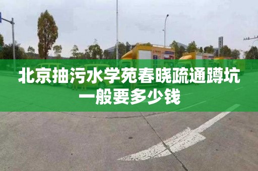 北京抽污水学苑春晓疏通蹲坑一般要多少钱