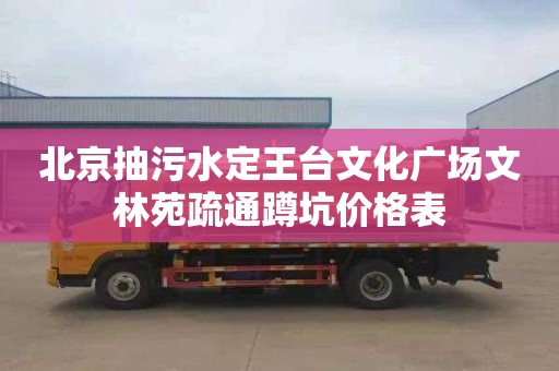 北京抽污水定王台文化广场文林苑疏通蹲坑价格表