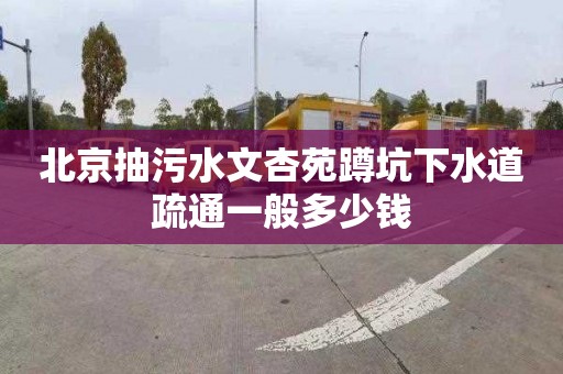 北京抽污水文杏苑蹲坑下水道疏通一般多少钱