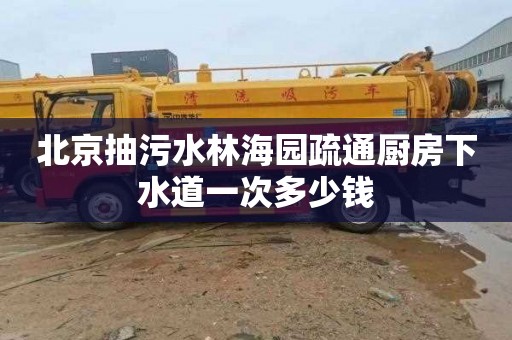 北京抽污水林海园疏通厨房下水道一次多少钱