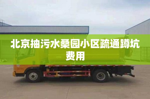 北京抽污水桑园小区疏通蹲坑费用