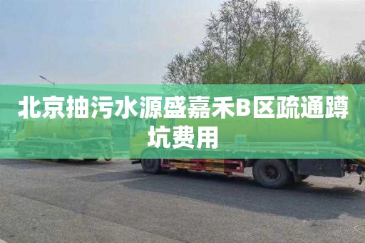 北京抽污水源盛嘉禾B区疏通蹲坑费用