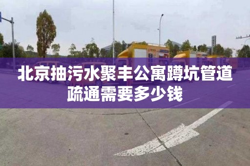 北京抽污水聚丰公寓蹲坑管道疏通需要多少钱