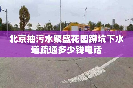 北京抽污水聚盛花园蹲坑下水道疏通多少钱电话