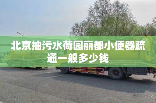 北京抽污水荷园丽都小便器疏通一般多少钱