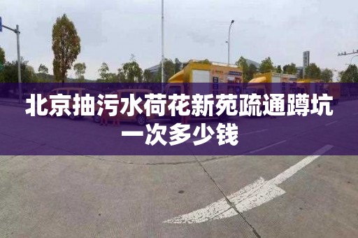 北京抽污水荷花新苑疏通蹲坑一次多少钱