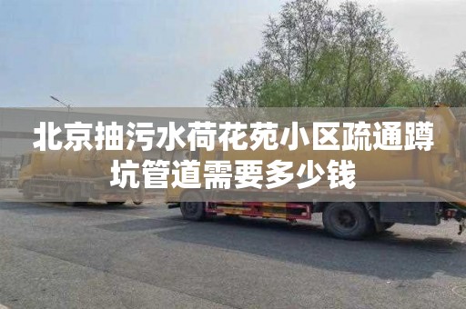 北京抽污水荷花苑小区疏通蹲坑管道需要多少钱