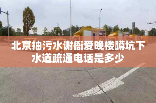 北京抽污水谢衙爱晚楼蹲坑下水道疏通电话是多少