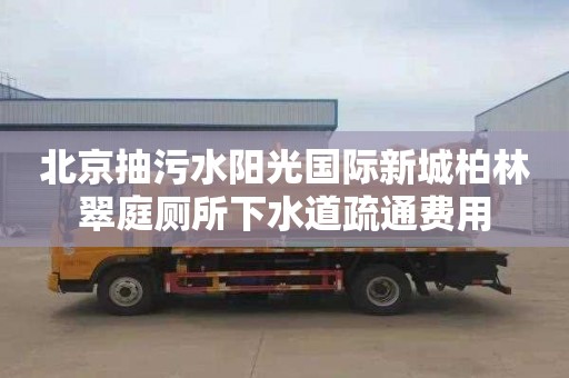 北京抽污水阳光国际新城柏林翠庭厕所下水道疏通费用