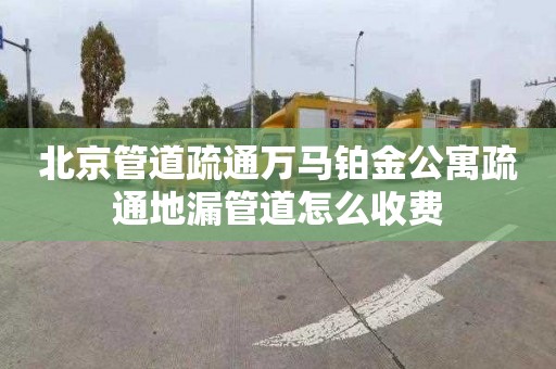 北京管道疏通万马铂金公寓疏通地漏管道怎么收费