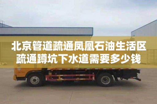 北京管道疏通凤凰石油生活区疏通蹲坑下水道需要多少钱