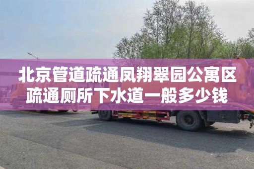 北京管道疏通凤翔翠园公寓区疏通厕所下水道一般多少钱