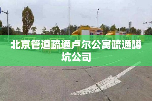 北京管道疏通卢尔公寓疏通蹲坑公司