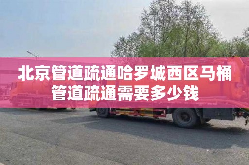 北京管道疏通哈罗城西区马桶管道疏通需要多少钱