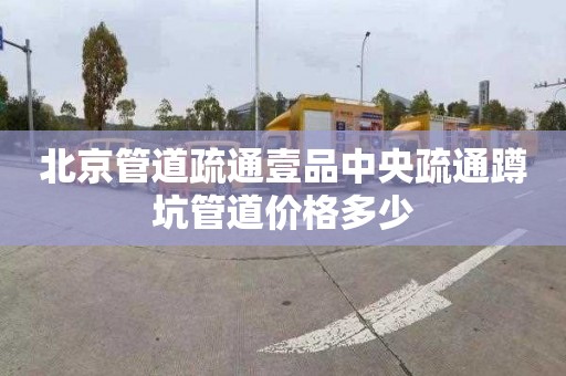 北京管道疏通壹品中央疏通蹲坑管道价格多少