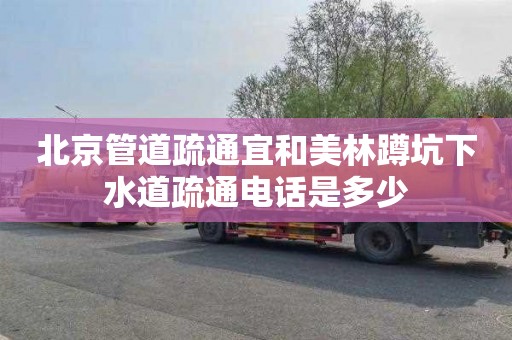 北京管道疏通宜和美林蹲坑下水道疏通电话是多少