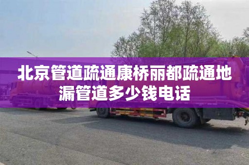 北京管道疏通康桥丽都疏通地漏管道多少钱电话