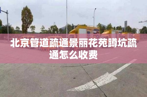 北京管道疏通景丽花苑蹲坑疏通怎么收费