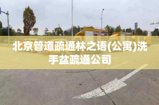 北京管道疏通林之语(公寓)洗手盆疏通公司