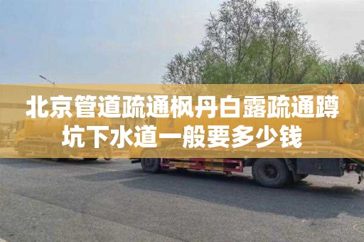 北京管道疏通枫丹白露疏通蹲坑下水道一般要多少钱