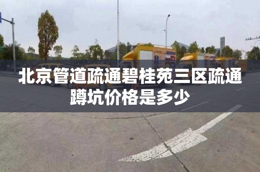 北京管道疏通碧桂苑三区疏通蹲坑价格是多少