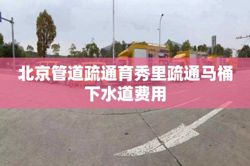 北京管道疏通育秀里疏通马桶下水道费用