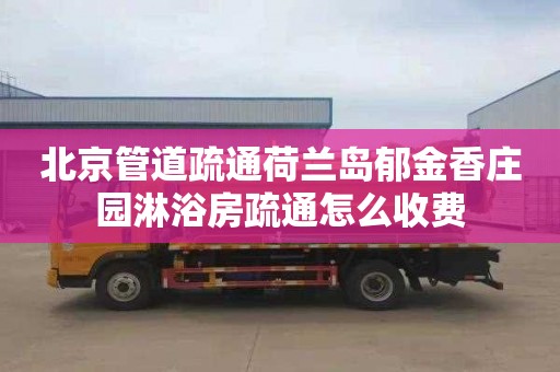 北京管道疏通荷兰岛郁金香庄园淋浴房疏通怎么收费