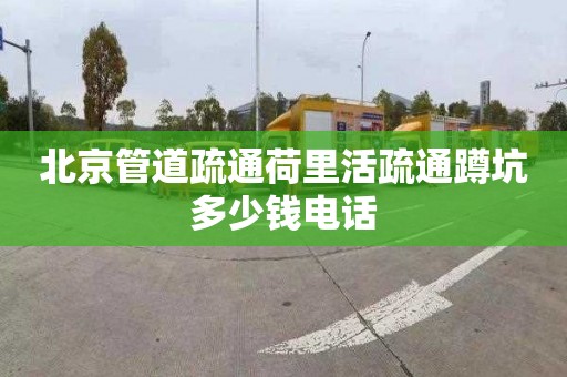 北京管道疏通荷里活疏通蹲坑多少钱电话