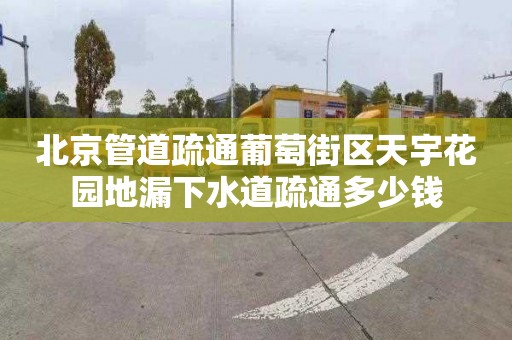 北京管道疏通葡萄街区天宇花园地漏下水道疏通多少钱