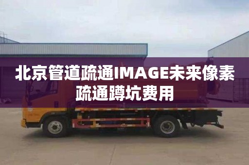 北京管道疏通IMAGE未来像素疏通蹲坑费用