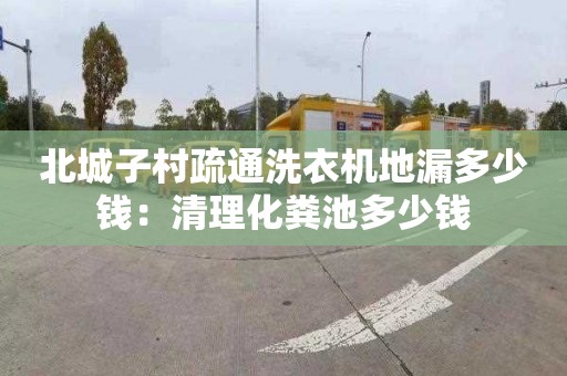 北城子村疏通洗衣机地漏多少钱：清理化粪池多少钱