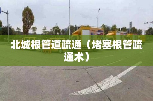 北城根管道疏通（堵塞根管疏通术）