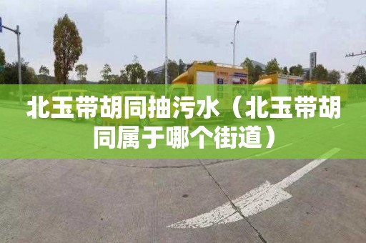 北玉带胡同抽污水（北玉带胡同属于哪个街道）