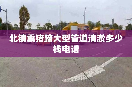 北镇熏猪蹄大型管道清淤多少钱电话