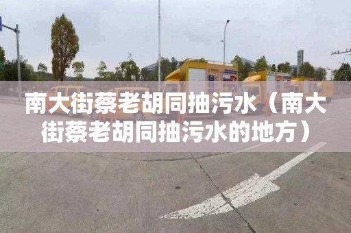 南大街蔡老胡同抽污水（南大街蔡老胡同抽污水的地方）